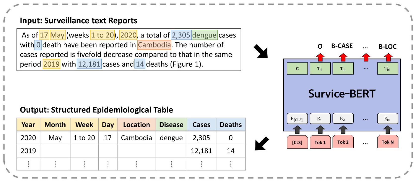 Survice-BERT: A BERT Model for Named Entity Recognition in Infectious ...